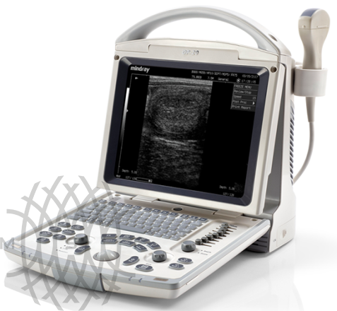 УЗИ аппарат Mindray DP-20 Vet портативный 