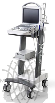 УЗИ аппарат Mindray DP-20 Vet портативный 
